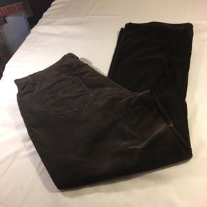 Liz Claiborne Women's Boot Cut Jeans - Dark Brown